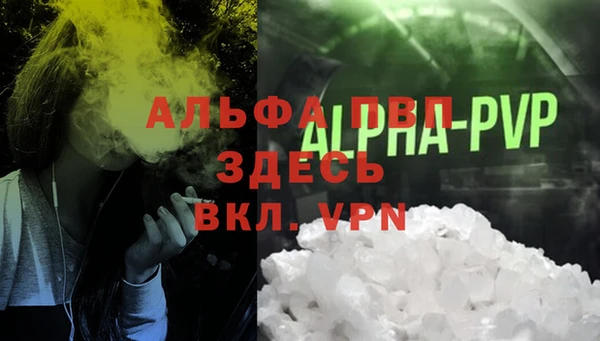 дживик Верхний Тагил