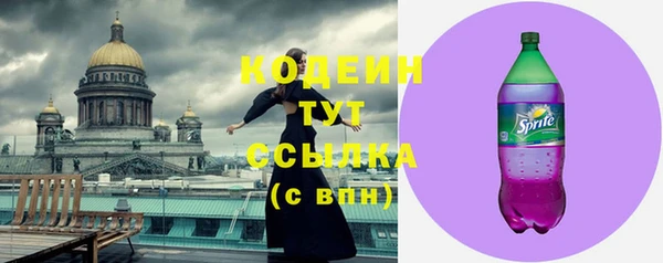 дживик Верхний Тагил