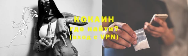 дживик Верхний Тагил