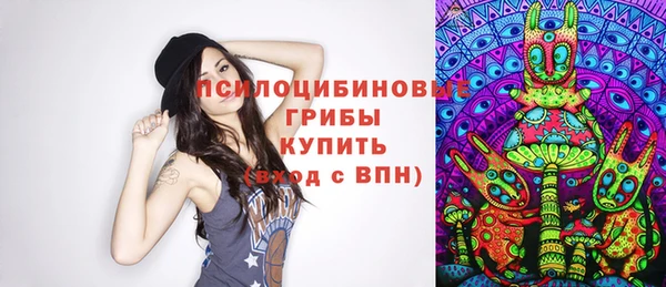 гидра Бугульма