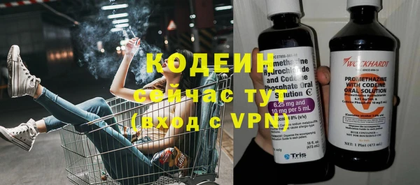 стаф Верея