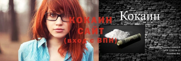 дживик Верхний Тагил