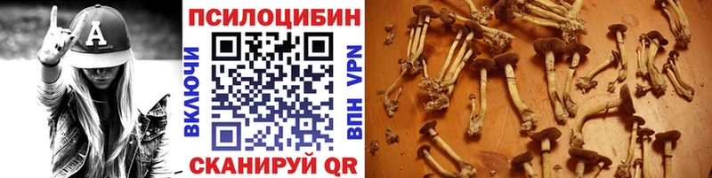 Галлюциногенные грибы GOLDEN TEACHER  Кинель 